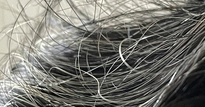 Hair Tissue Mineral Analysis (HTMA)